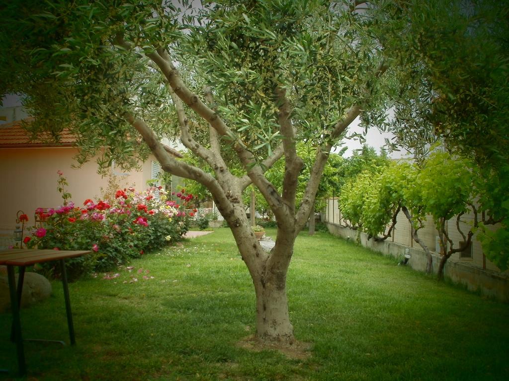 Phyllis Maisonettes Apartamento Kallithea  Exterior foto